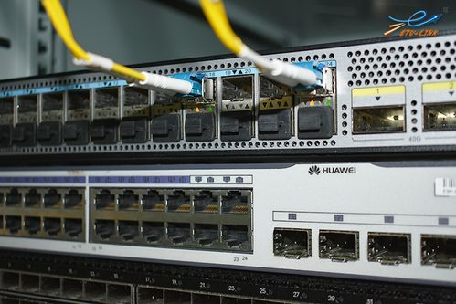 如何选择专业的光模块厂家与数据处理服务